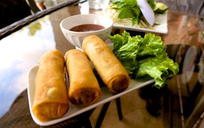 veg_spring_roll
